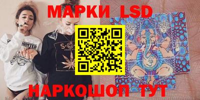 сатива Новокубанск