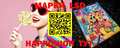 МДПВ Новозыбков