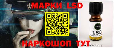 mdpv Новодвинск