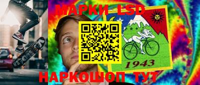 МДПВ Новозыбков