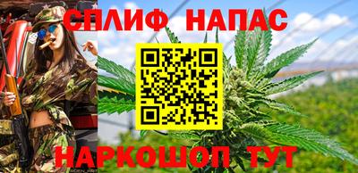 сатива Новокубанск