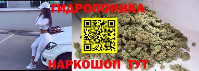 сатива Новокубанск