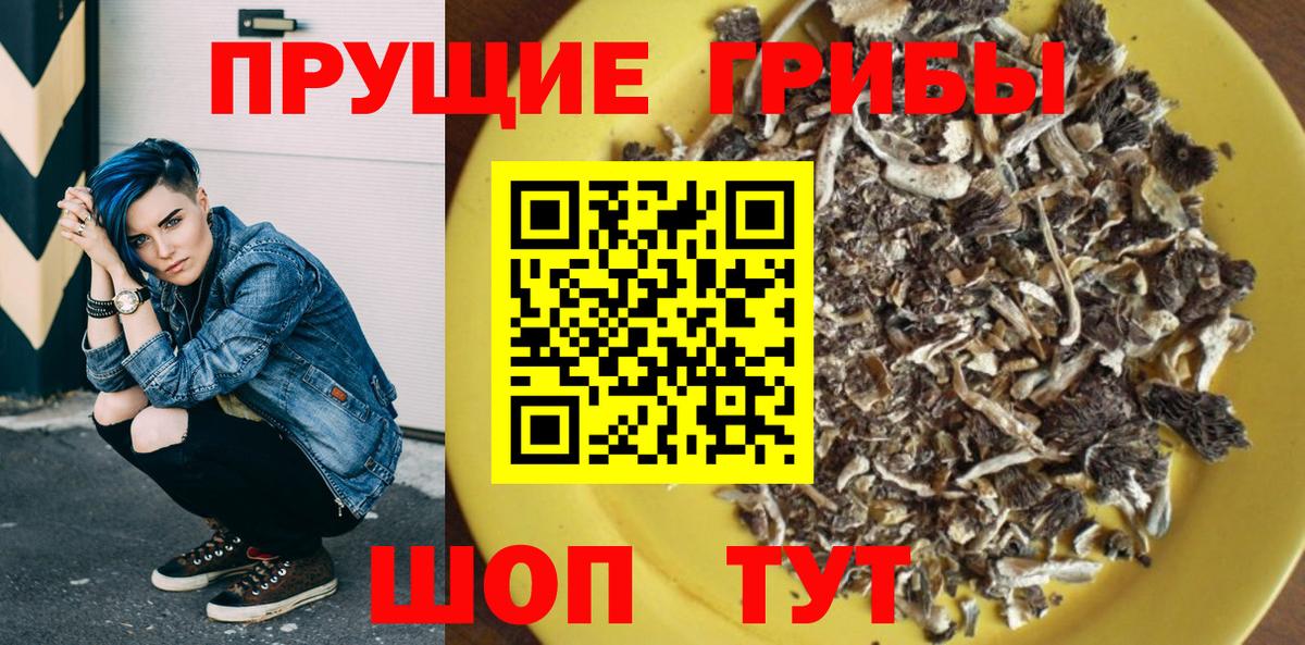 Дальнегорск  Псилоцибиновые грибы GOLDEN TEACHER  Вход с VPN 