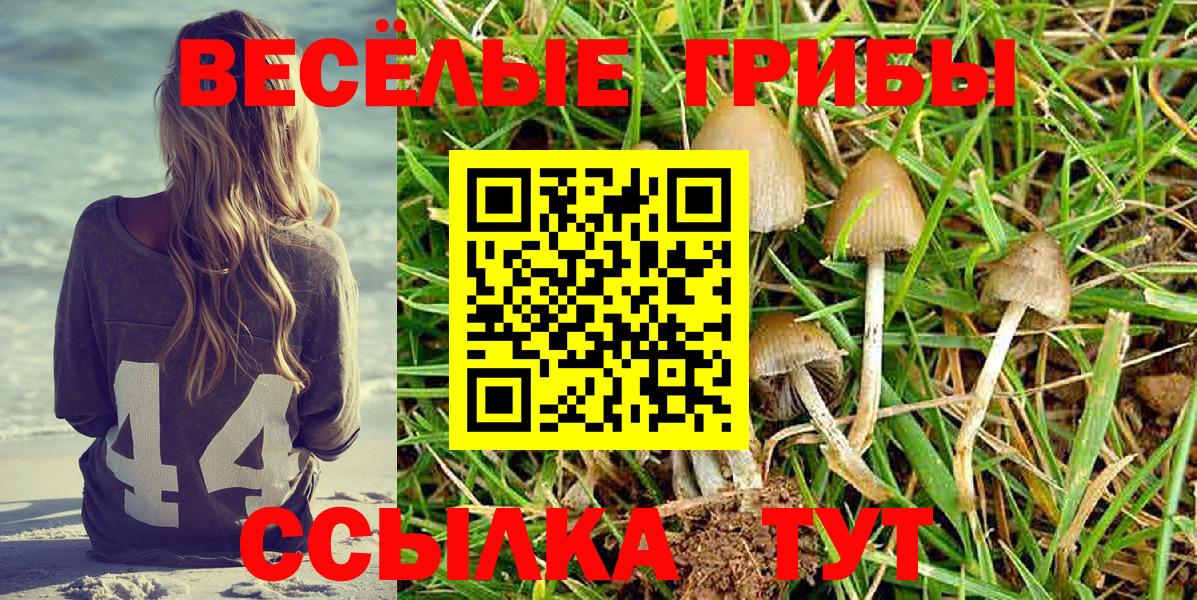 Галлюциногенные грибы ЛСД Дальнегорск